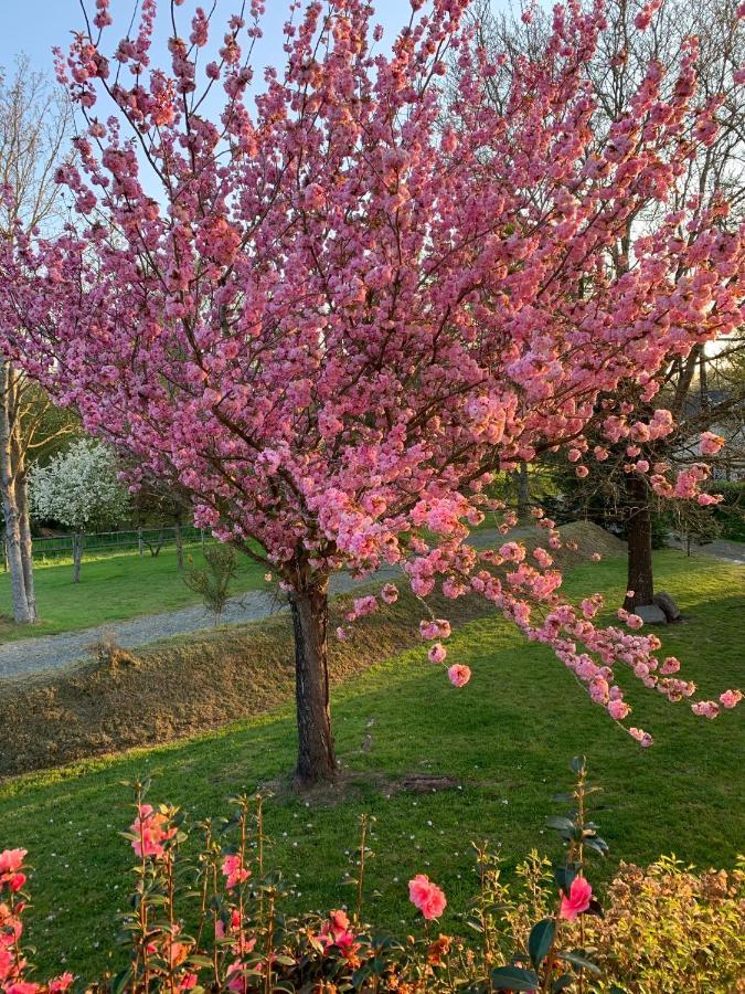 Le Logis De La Lettre Bed & Breakfast Tinténiac Dış mekan fotoğraf